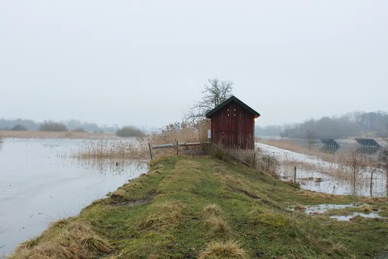 Översvämning vid Roxen februari 2024.