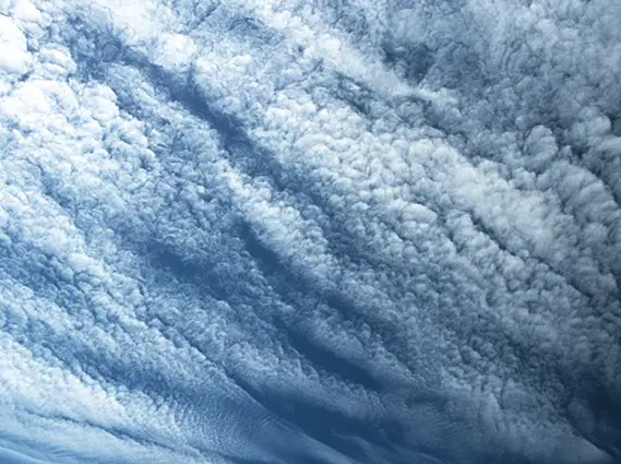 Foto tagen upp mot himmeln där molnen Cirrocumulus syns.