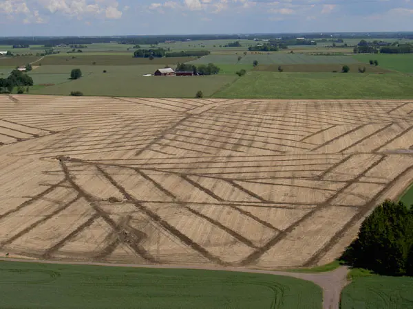 Mörka ränder på sädesfält.