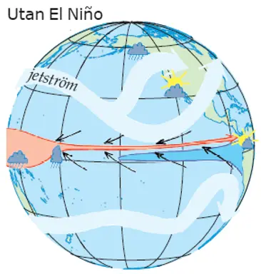 Illustration av en jordglob som visar hur passadvindar och vatten rör sig.