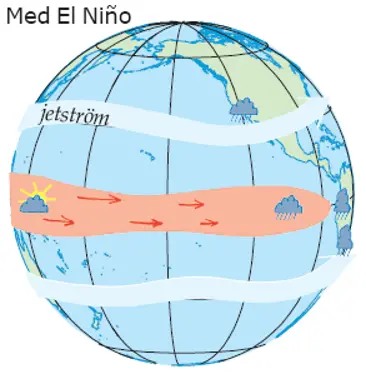 Illustration av en jordglob som visar hur varmvatten har brett ut sig till östra sidan av tropiska Stilla havet och där orsakar kraftigt regn.