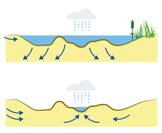 Illustration av flödesriktning för limniska strandvåtmarker