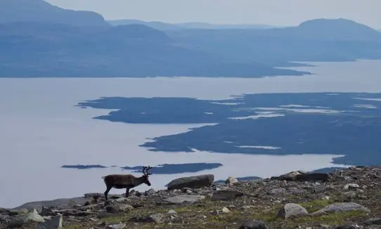 Lake Torneträsk, northern Scandinavian Mountains, Sweden.