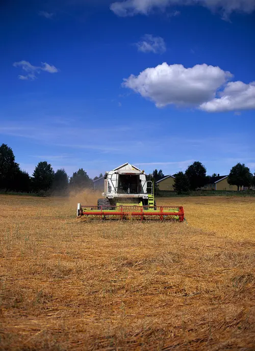 Skördetröska på åker