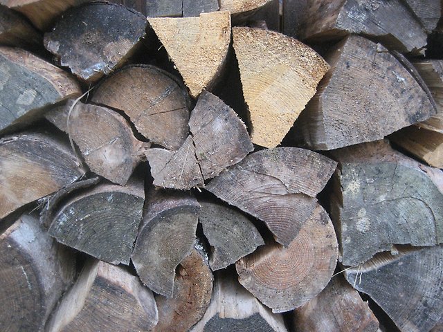 Torra vedträn staplade i väntan på att eldas.