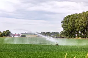 Åkermark bevattnas med en vattenspridare.