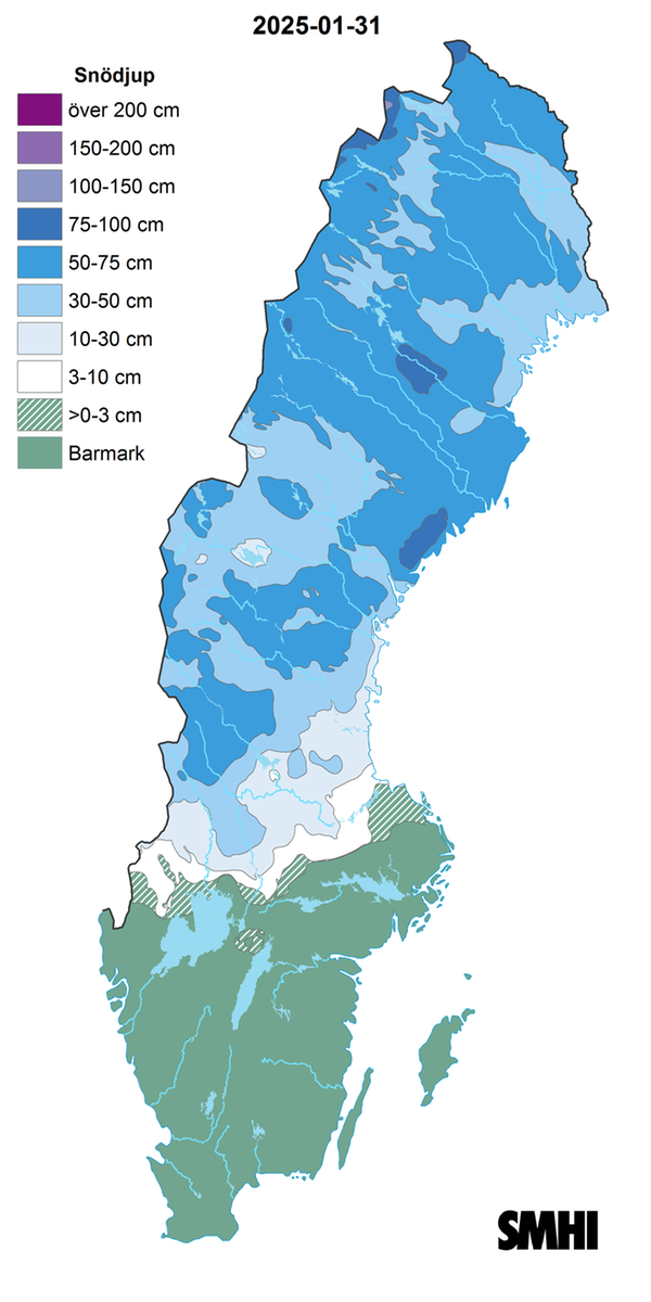 Nederbörden i procent av normalperioden 1991-2020 för december 2024.