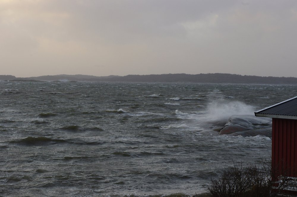 Vågor på havet som slår in mot stranden