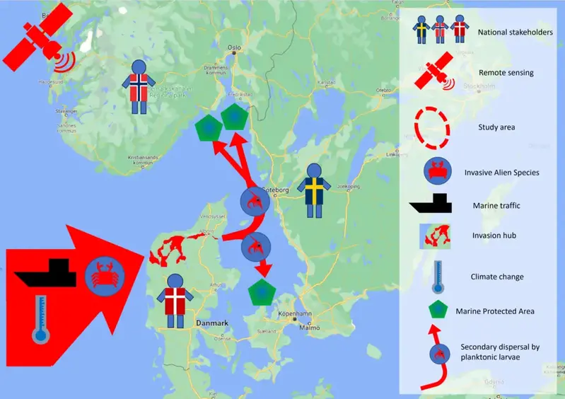 En schematisk bild på hur invasiva arter kan spridas längs västkusten.
