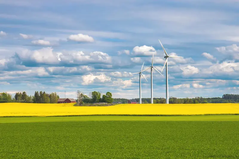 Tre solbelysta vindkraftverk på en blommande rapsåker.