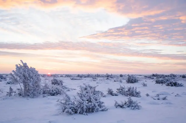 Snösituationen 2021-22 Vattenåret foto.