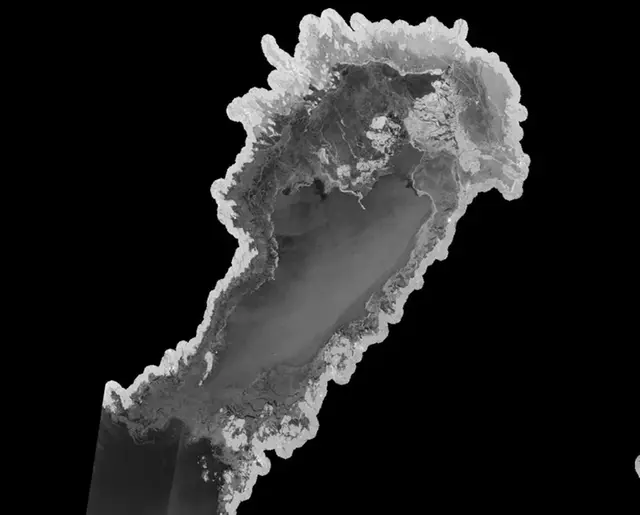 Satellitbild (Sentinel-1B) över Bottenviken och Norra Kvarken 27 februari 2020. Isen ligger som en krans längs med kusterna i Bottenviken och tunn nyis ligger som en brygga mellan Sverige och Finland i Norra Kvarken.
