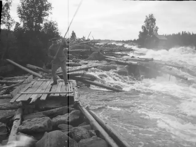 Äldre herre står vid fors och lotsar timmer.