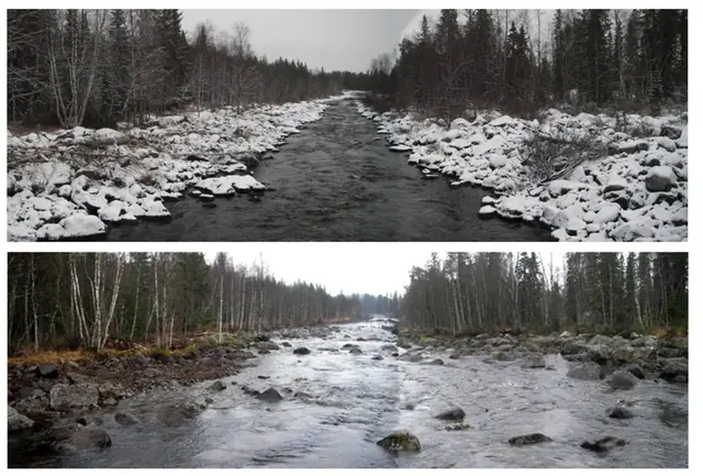 Två bilder på älv före och efter restaturering.