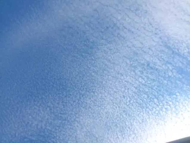 Foto tagen upp mot himmeln där molnen Cirrocumulus syns.