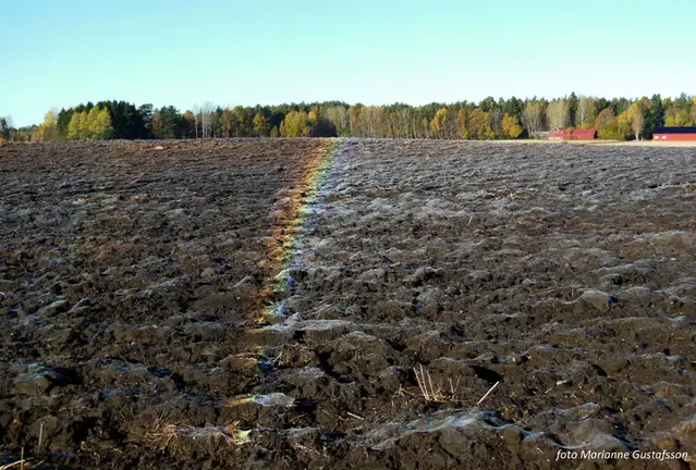 Dubbel regnbåge på marken