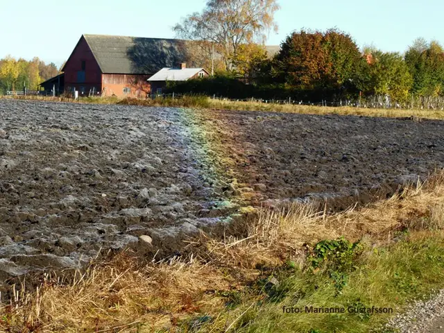 Regnbåge på marken, höger