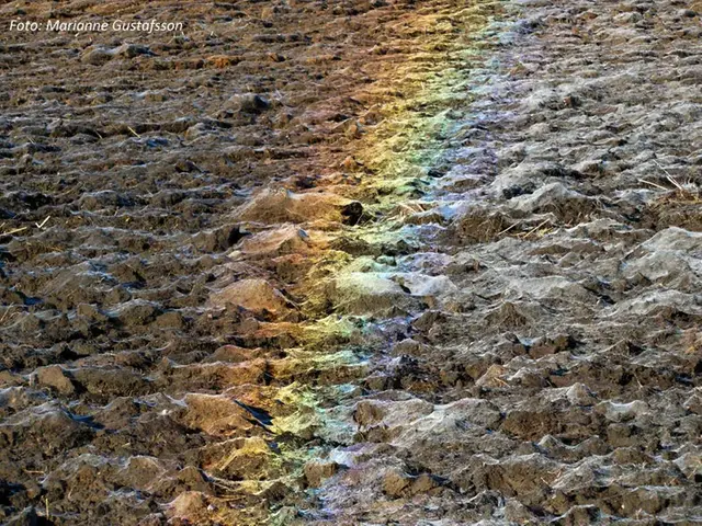 Regnbåge på marken, närbild