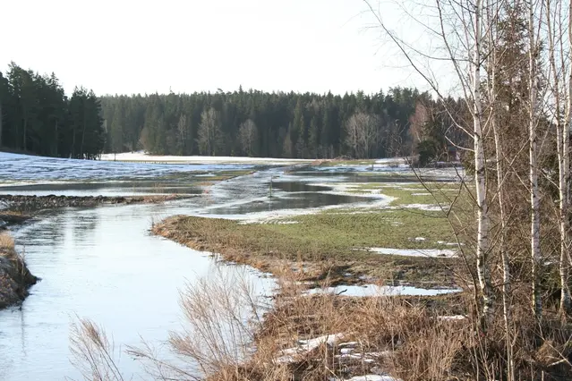 översvämmade åkrar