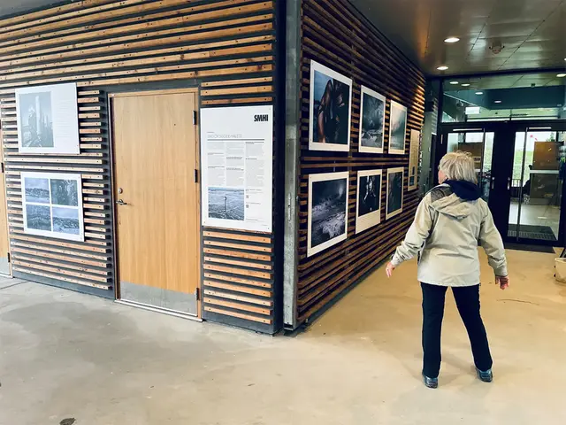 En äldre kvinna beskådar en fotoutställning utomhus.