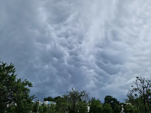 Bilden visar mammamoln i Norrköping den 10 juni 2024.