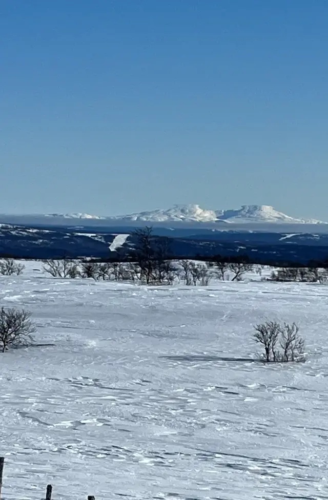 Bilden visar ett foto av hägringar över Åreskutan.