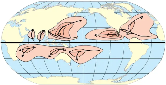 Världskarta som visar var tropiska cykloner förekommer.