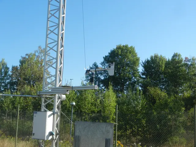 Propelleranemometer som är placerad intill ett skogsområde.