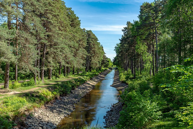 Färgglad sommarvy över en båtkanal i Sverige, mycket låg på vattnet. Vacker sommarvy med frodiga gröna träd, blå himmel och solsken.