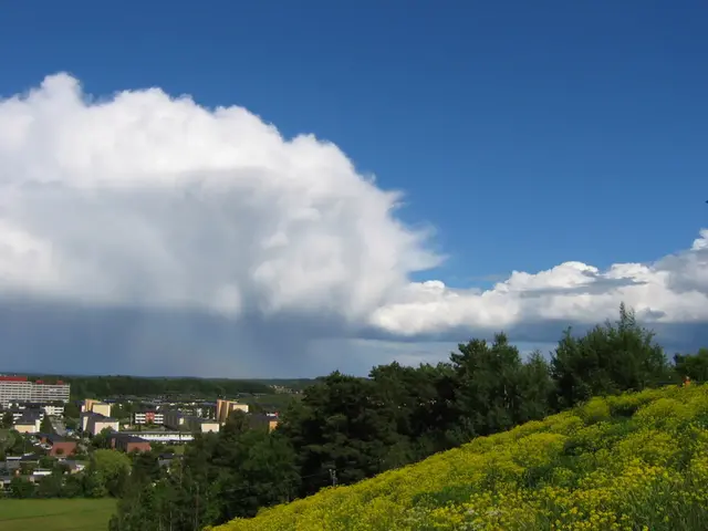 Bild tagen upp mot himmeln där bymoln har bildats.