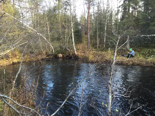 En av SMHIs fälthydrologer vid Leipojoki.