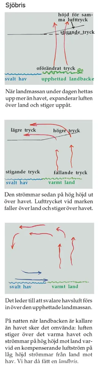 Förklaring av hur sjöbris uppstår