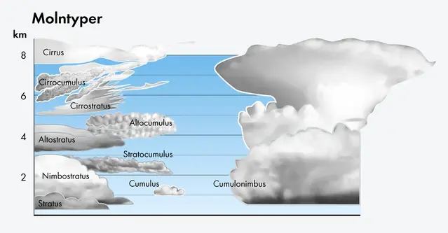 Bilden visar en schematisk skiss av de olika huvudmolnslagen.