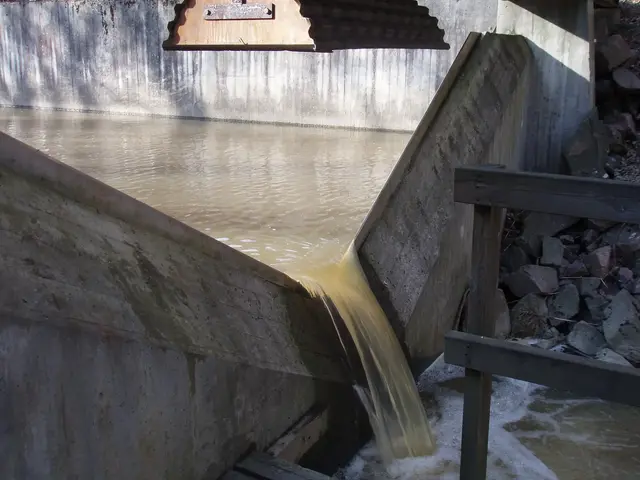 Mätöverfall från Ryttarbacken