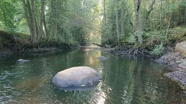 Fuseån - biflöde till Emån.