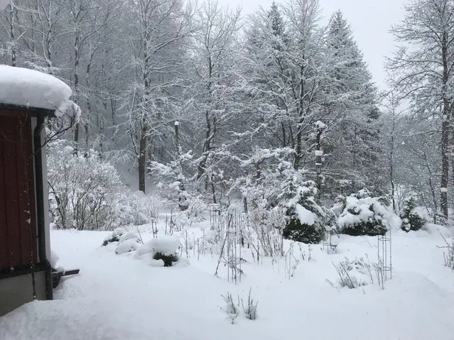 Bild tagen utomhus på en snöfylld skog. Bredvid syns en kant av en röd stuga.