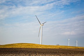 Vindkraftverk på skånsk slätt.
