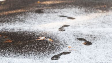 Fotsteg i den allra första tunna snön, foto