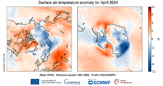 Bilden visar kartor över temperaturavvikelsen i april 2024 för Arktis respektive Antarktis.