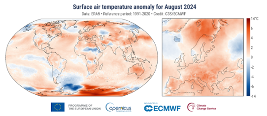 Bilden visar kartor med temperaturens avvikelse från det normala i augusti 2024 globalt och för Europa.