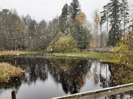 Snöflingor över mörkt vatten i höstfärger.