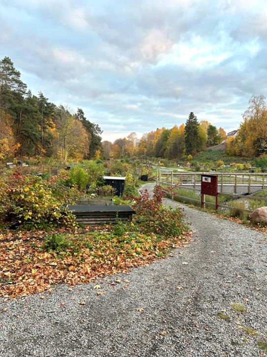 Mycket moln över ett Uppsala i höstskrud