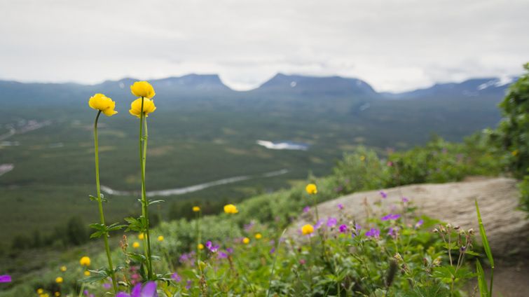 Abisko